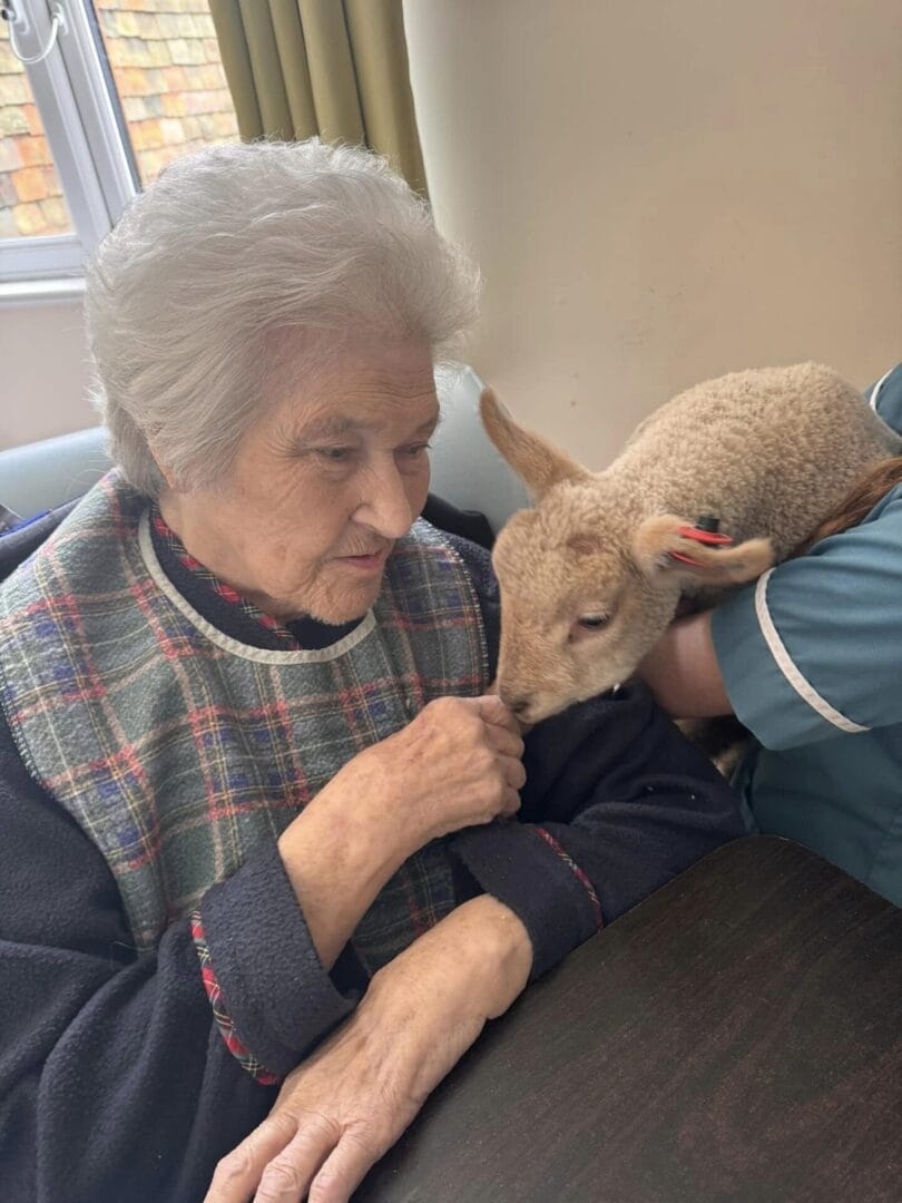 Care Home Activities