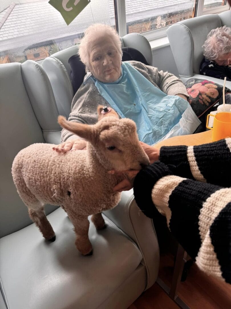 Care Home Activities