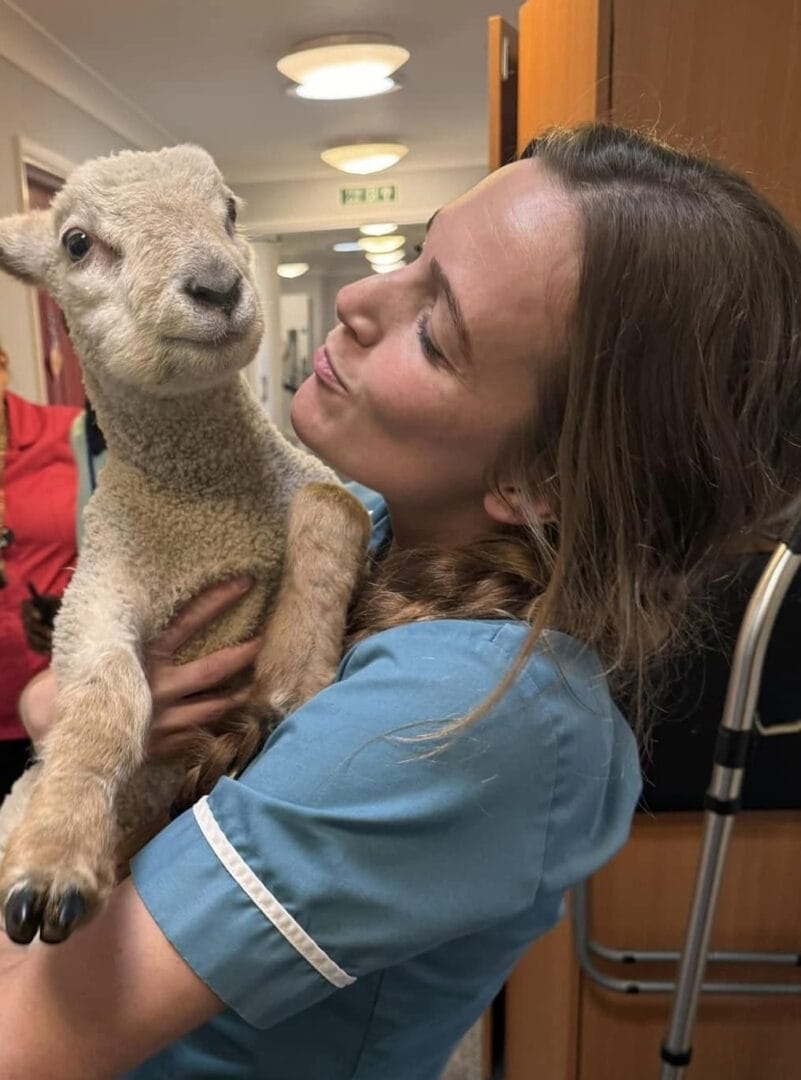 Farm visit at Prinsted Care Home