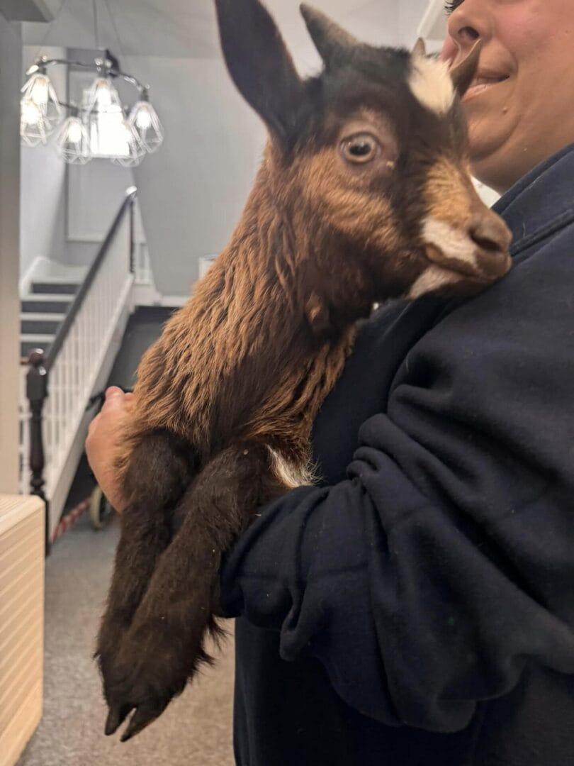 Care Home Activities