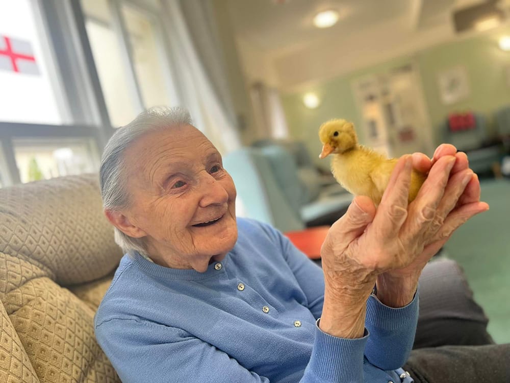 Springfield Activity Day