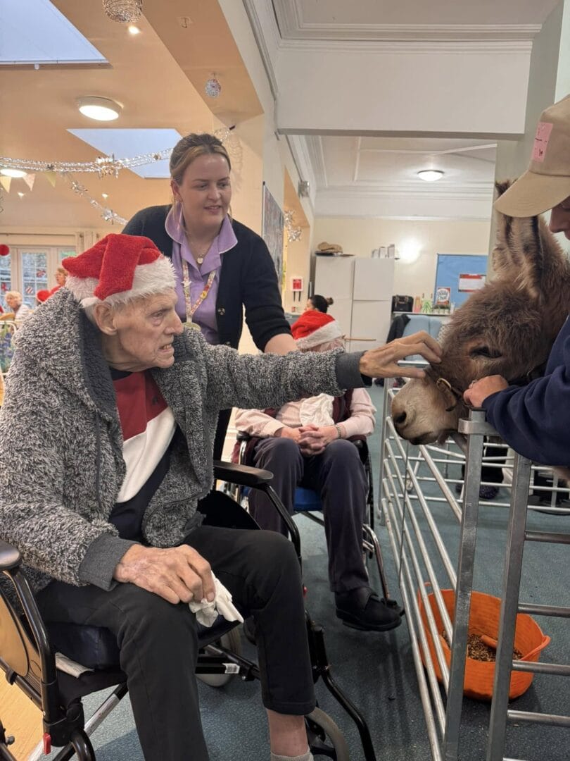 Springfield Christmas Activities Donkey Visit